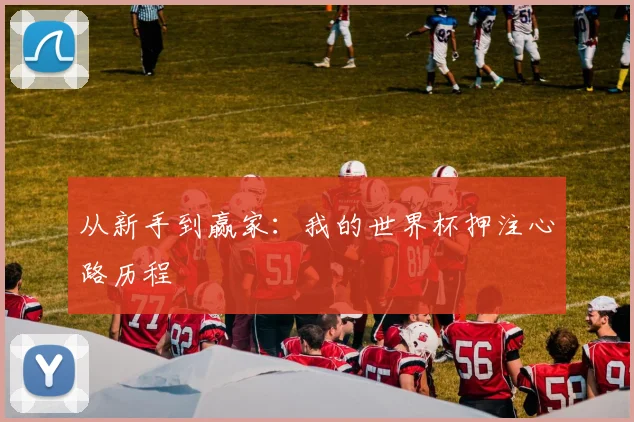 从新手到赢家：我的世界杯押注心路历程