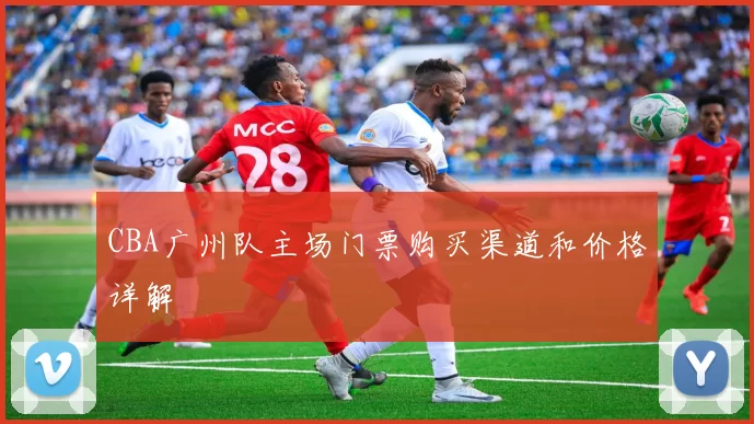 CBA广州队主场门票购买渠道和价格详解