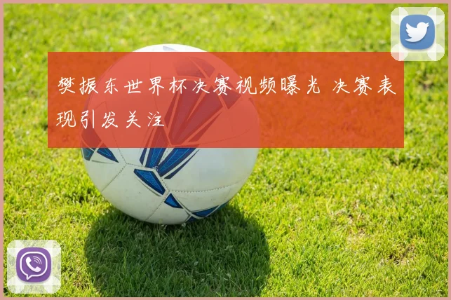 樊振东世界杯决赛视频曝光 决赛表现引发关注