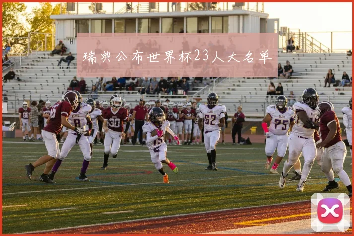 瑞典公布世界杯23人大名单