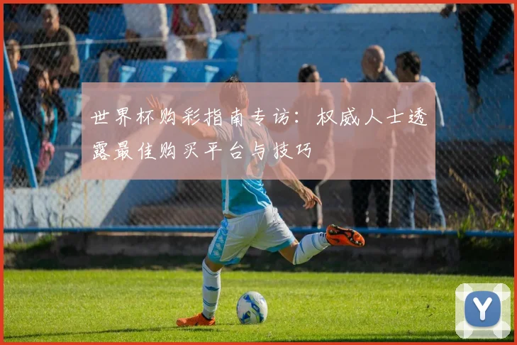 世界杯购彩指南专访：权威人士透露最佳购买平台与技巧