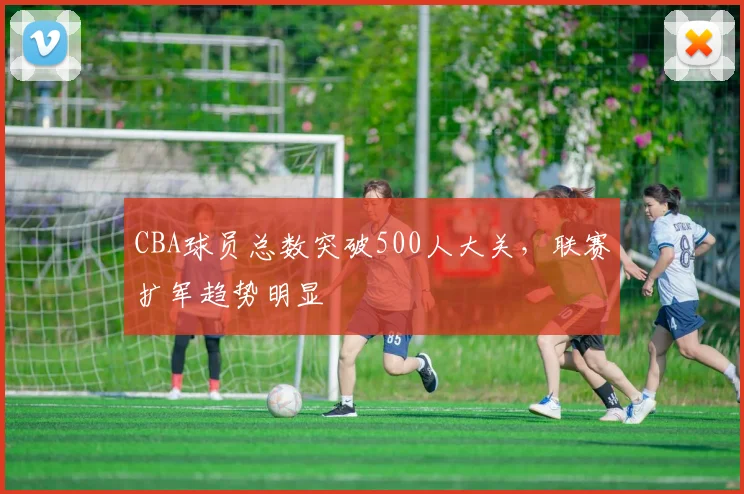 CBA球员总数突破500人大关,联赛扩军趋势明显