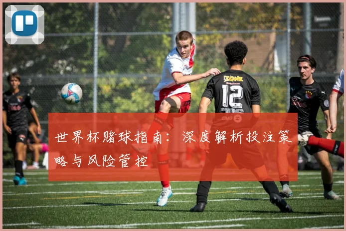 世界杯赌球指南：深度解析投注策略与风险管控