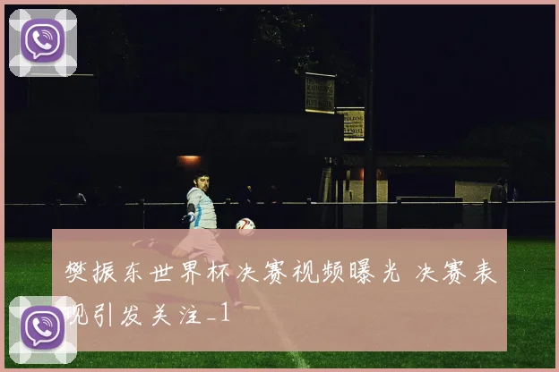 樊振东世界杯决赛视频曝光 决赛表现引发关注_1