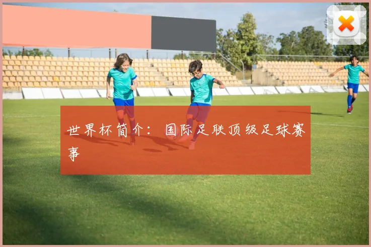 世界杯简介：国际足联顶级足球赛事