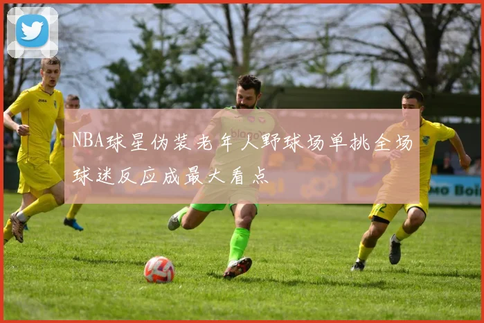 NBA球星伪装老年人野球场单挑全场球迷反应成最大看点