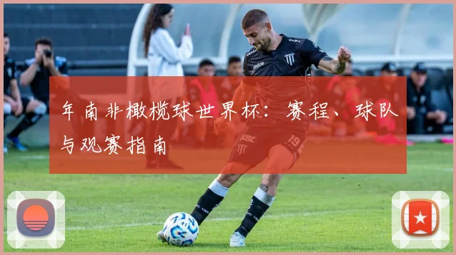 年南非橄榄球世界杯：赛程、球队与观赛指南
