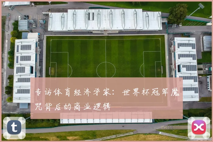 专访体育经济学家：世界杯冠军魔咒背后的商业逻辑