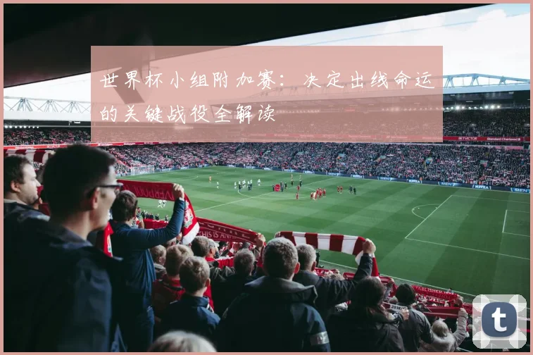 世界杯小组附加赛：决定出线命运的关键战役全解读
