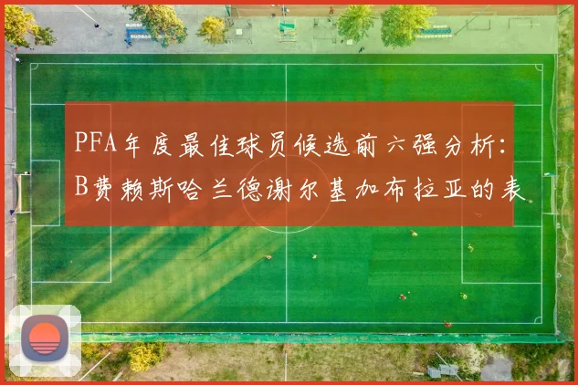 PFA年度最佳球员候选前六强分析:B费赖斯哈兰德谢尔基加布拉亚的表现对比