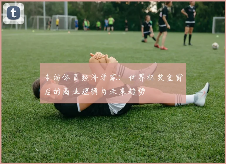 专访体育经济学家：世界杯奖金背后的商业逻辑与未来趋势